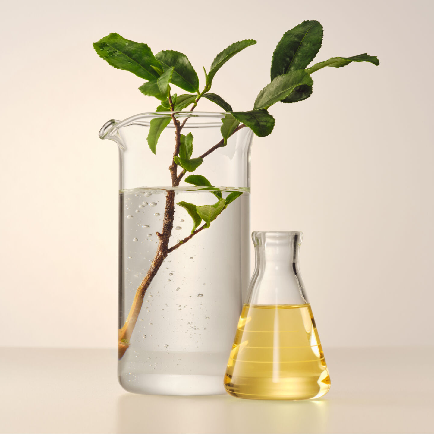 Serene-looking blonde woman with eyes closed laying in grass with long blonde hair spread out around head.